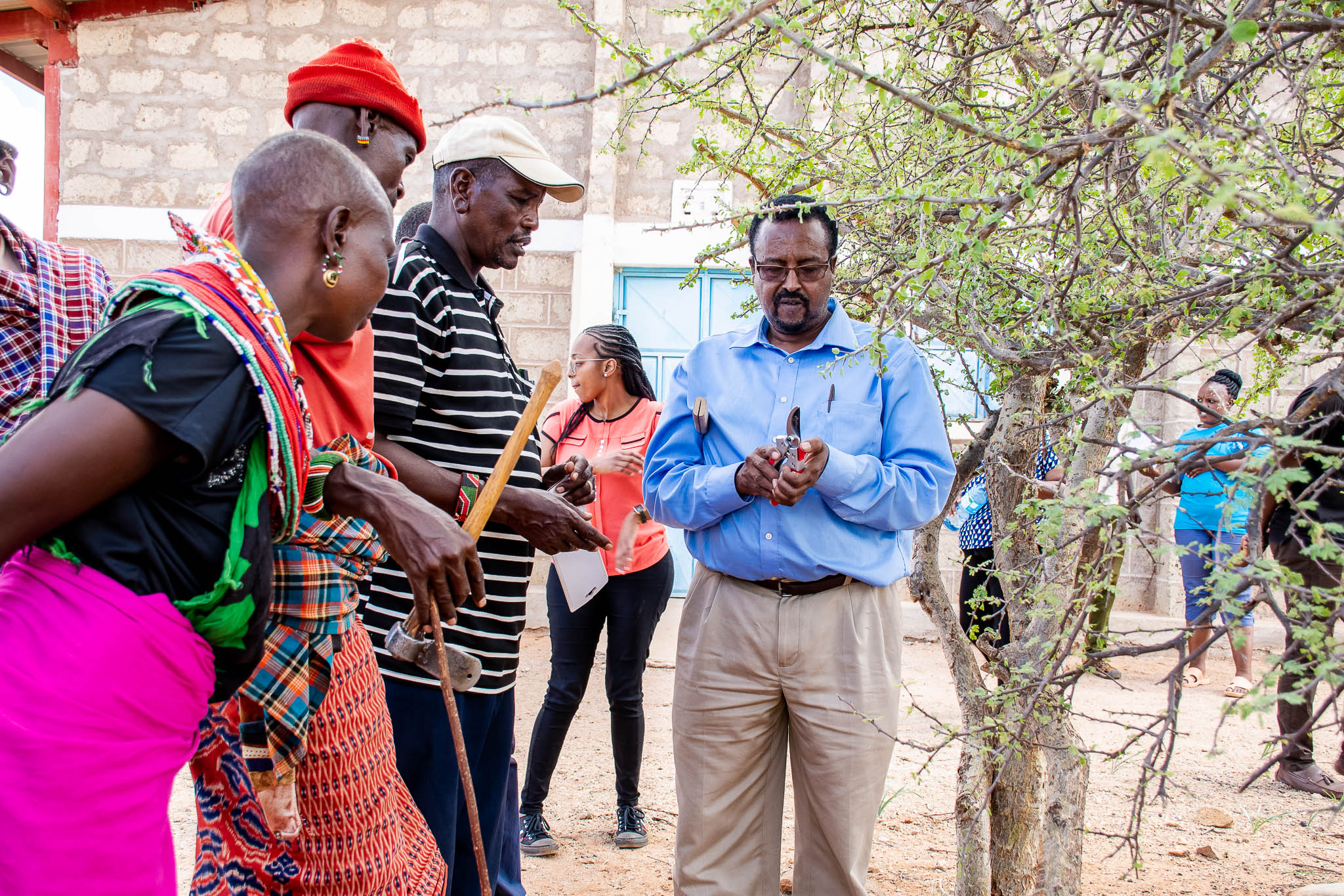 Training and capacity building