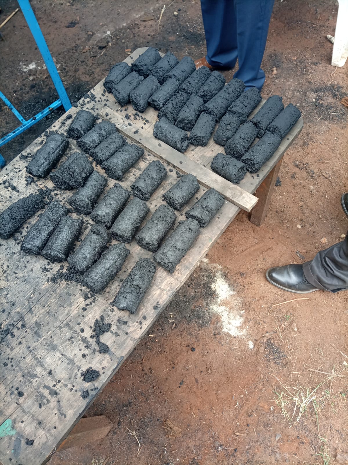 Briquettes made from Prosopis with gum binder