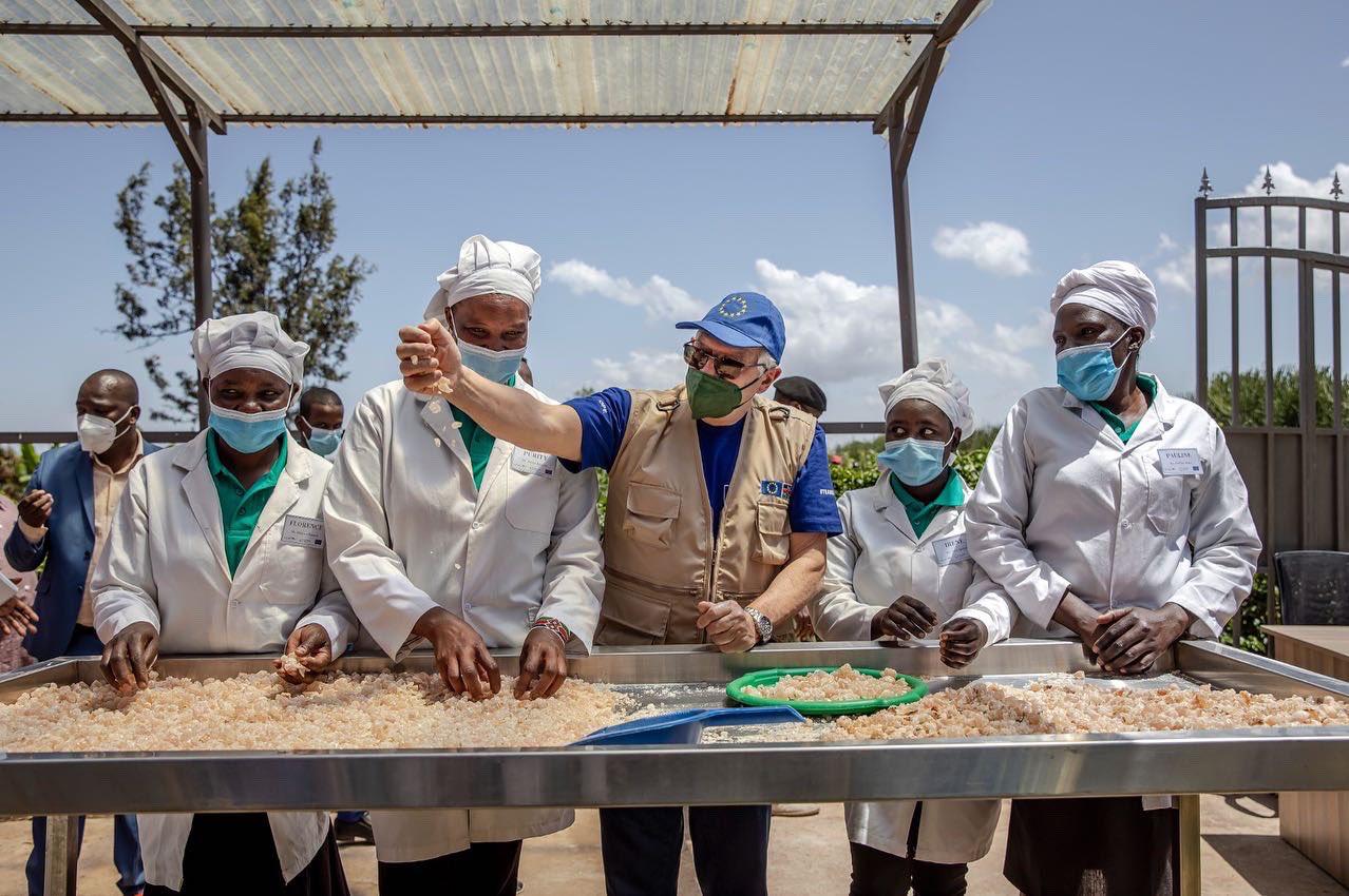 EU Vice President Borrell inspecting gum from ASAL collectors