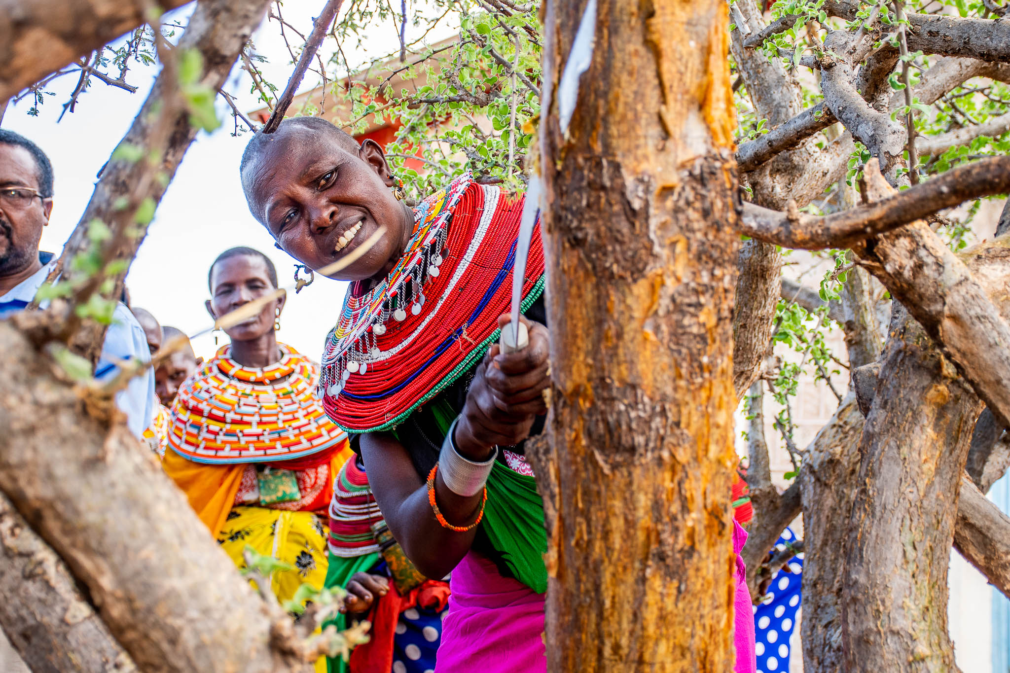 Tapping training in progress